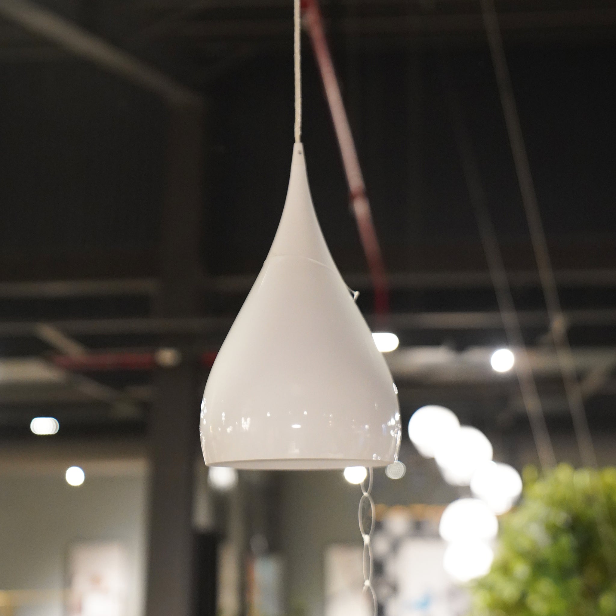 LIGHT