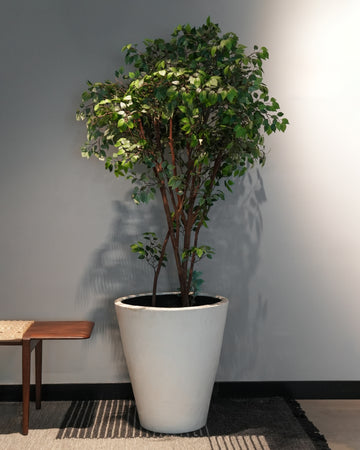 POT