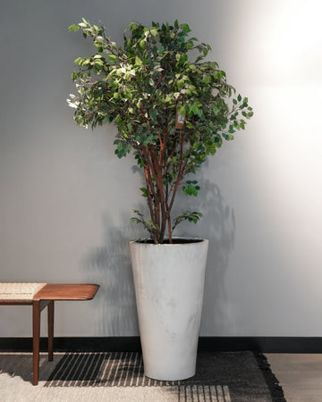 POT