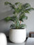 ARTIFICIAL PLANT