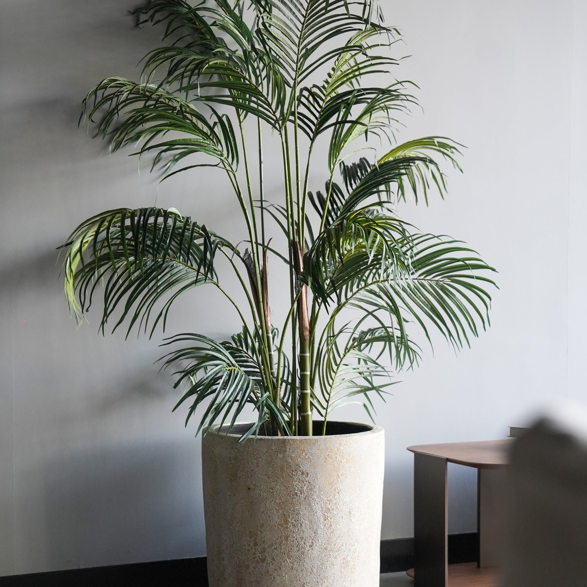 Natural Clay Pot