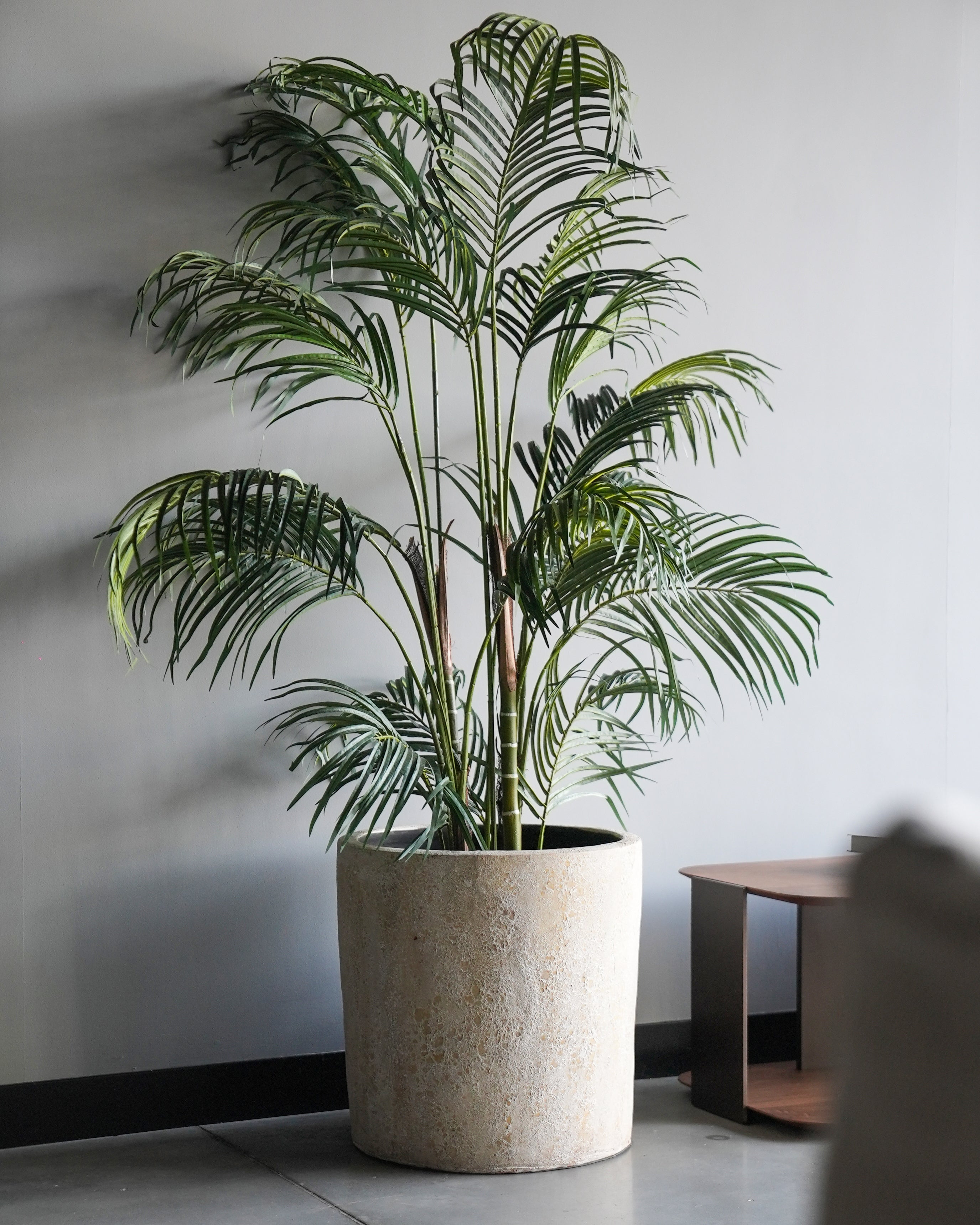 Natural Clay Pot