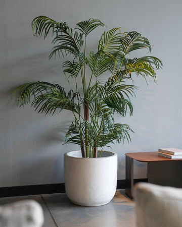 POT