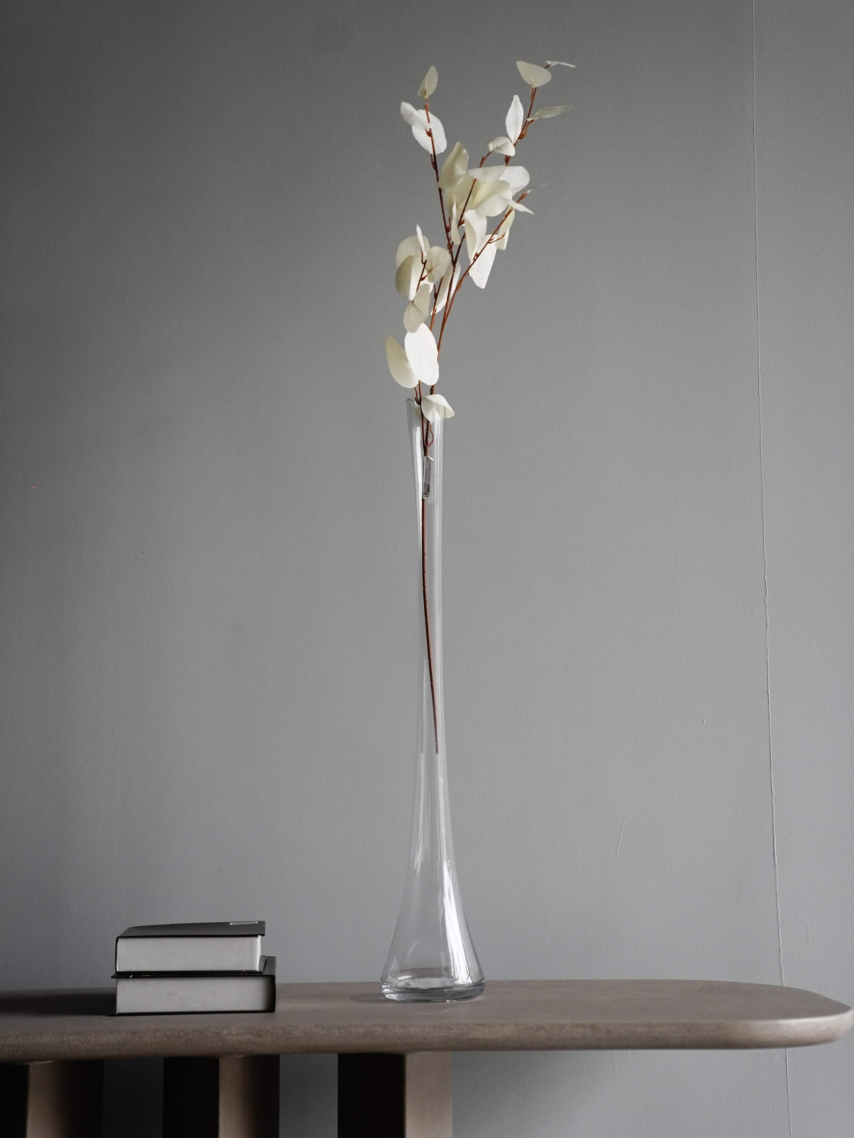 Minimalist Glass Vase