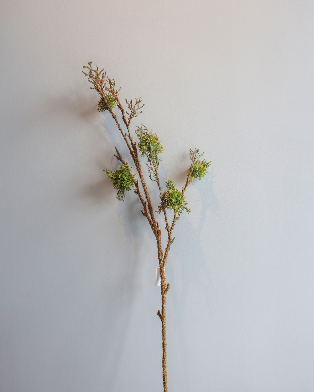 ARTIFICIAL PLANT