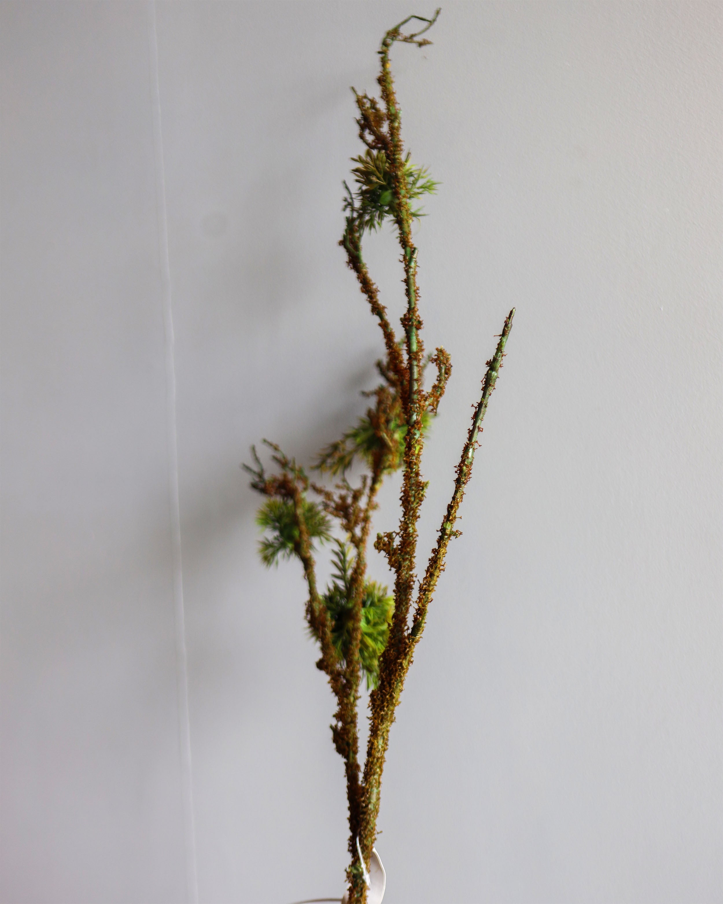 ARTIFICIAL PLANT
