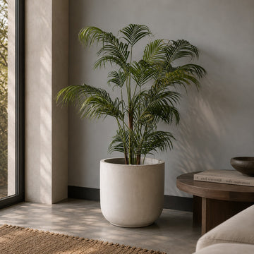 POT