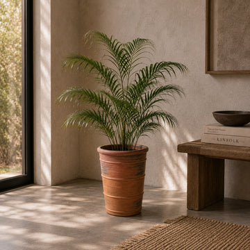POT