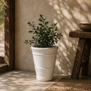 POT