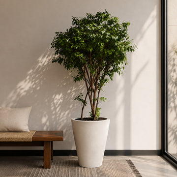 POT
