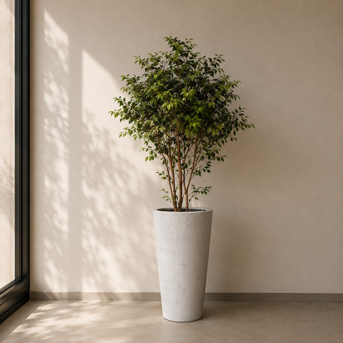 POT