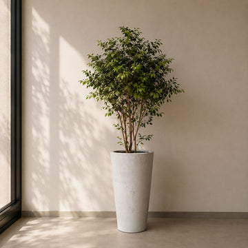 POT