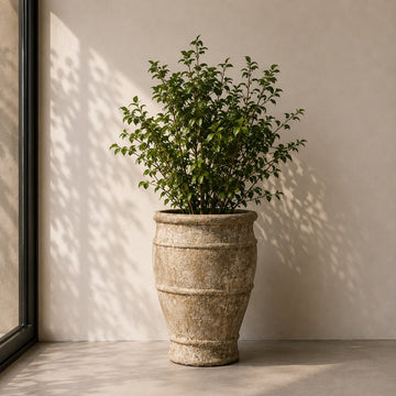 POT