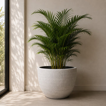 Rustic Clay Decor Pot