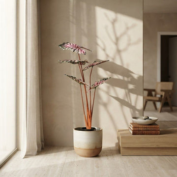 Elegant Artificial Plant