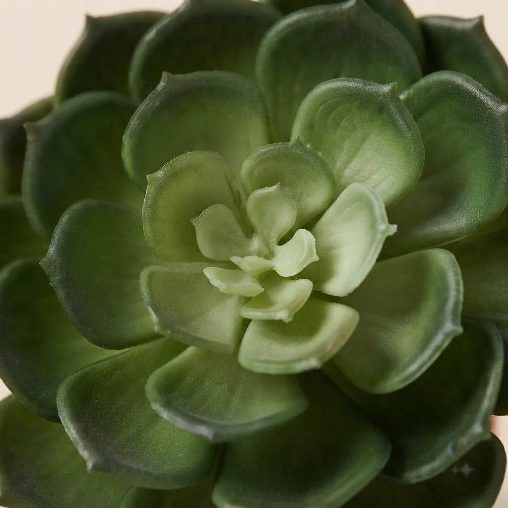 Artificial Plant