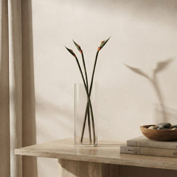 Flora Plant