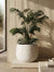 ARTIFICIAL PLANT